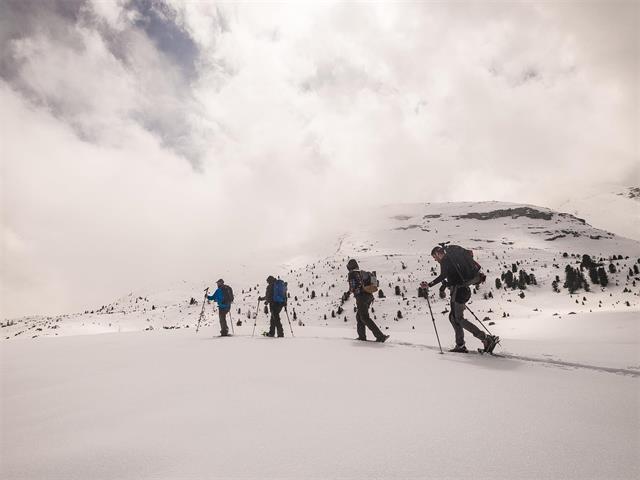 Foto für Leichte Schneeschuhwanderung im Geleit des Mondes in Lungiarü